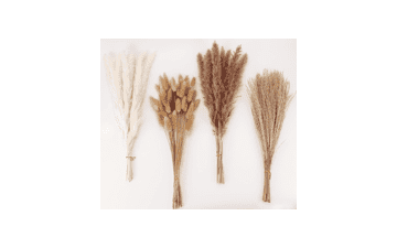 Dried Pampas Grass Decor