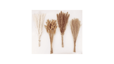 Dried Pampas Grass Decor