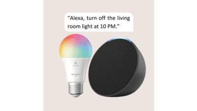 Echo Pop | Charcoal with Sengled Smart Color Bulb