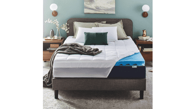 Sleep Innovations Dual Layer Mattress Topper