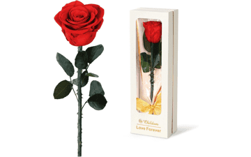 Valentines Day Gifts for Women