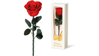 Valentines Day Gifts for Women