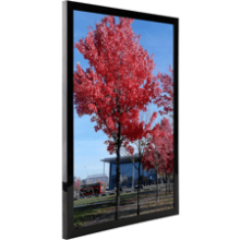 12x16 Picture Frame Black