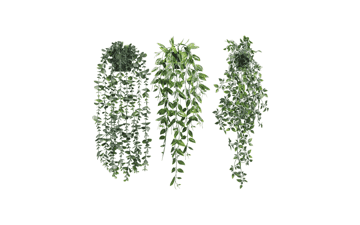 Artificial Hanging Plants 3 Pack