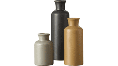 CWLWGO-Ceramic Vase Set of 3