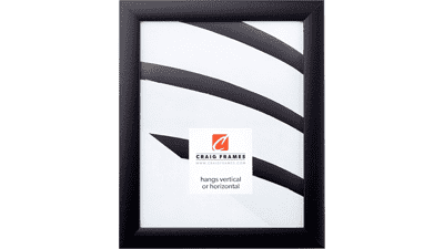 Craig Frames Contemporary Picture Frame