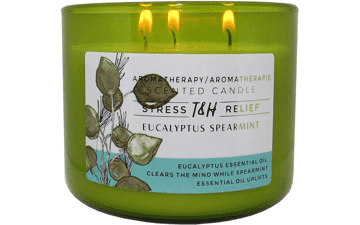 Eucalyptus Spearmint Aromatherapy Candle