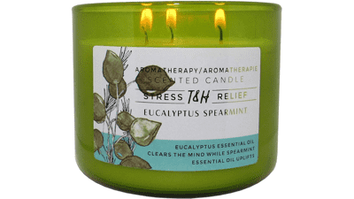 Eucalyptus Spearmint Aromatherapy Candle