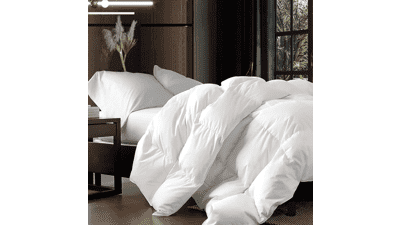 Luxurious Queen Size Goose Down Comforter