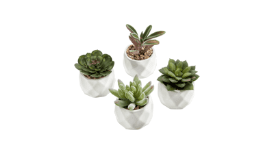 MyGift Miniature Artificial Succulents
