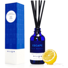 Reed Diffusers Set