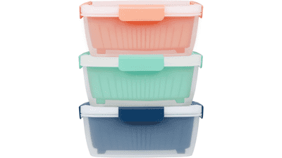 Shopwithgreen 3 Pack Berry Keeper Container