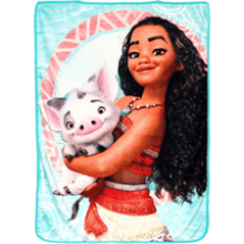 Disney's Moana Voyagers Micro Raschel Throw Blanket