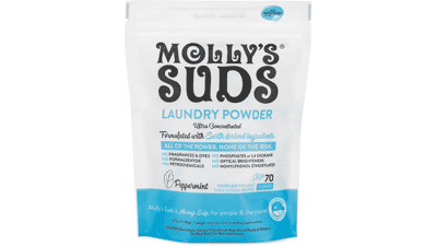 Molly's Suds Original Laundry Detergent Powder