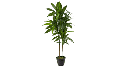 Nearly Natural Real Touch Leaves Artificial Dracaena Plant