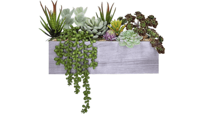 Supla Artificial Potted Succulents Plants Arrangement