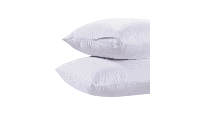 White Classic Luxury Hotel Collection Pillow Cover