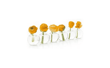 CHIVE ‘Caterpillar’ Bubble Bud Vase