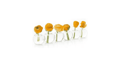 CHIVE ‘Caterpillar’ Bubble Bud Vase