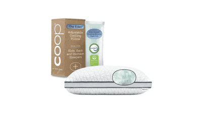 Coop Home Goods Eden Bed Pillow Queen Size