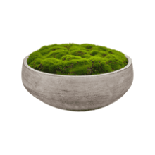 Macomine Design Moss Bowl