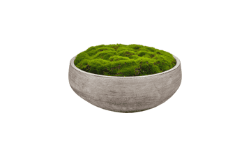 Macomine Design Moss Bowl