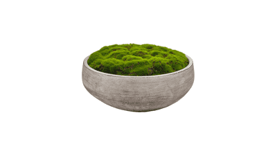 Macomine Design Moss Bowl