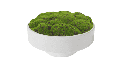 NAHARO New Moss Bowl