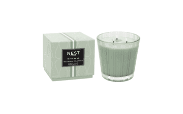 NEST New York Wild Mint & Eucalyptus Candle