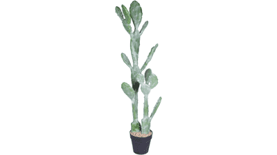 Ruwenus Artificial Cactus