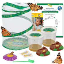 Butterfly Garden Kit - Raise & Release 10 Live Butterflies
