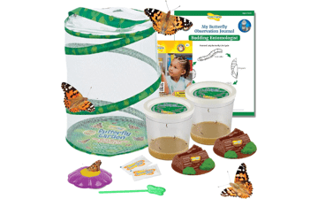 Butterfly Garden Kit - Raise & Release 10 Live Butterflies