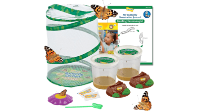 Butterfly Garden Kit - Raise & Release 10 Live Butterflies