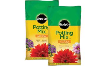 Miracle-Gro Potting Mix - Feeds up to 6 Months - 2-Pack