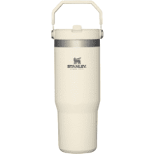 STANLEY IceFlow Tumbler: Coldest Reusable Water Bottle