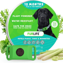 FurLife Green: Waterproof Flea & Tick Collar Tag for Dogs