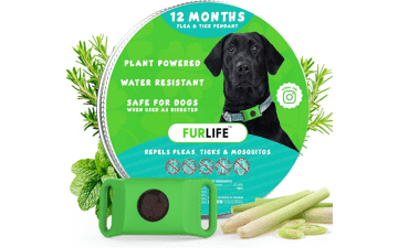 FurLife Green: Waterproof Flea & Tick Collar Tag for Dogs