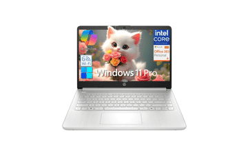 HP 14" Laptop, Intel N150, 16GB RAM, 384GB Storage, WiFi 6, Win11 Pro