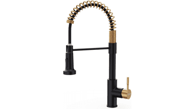 Black and Gold Kitchen Faucet with Pull Down Sprayer