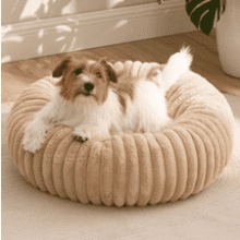 Cozy Donut Dog Bed - Small, Round, & Washable!