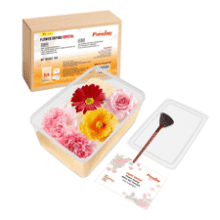 Fonday Flower Drying Crystals - 5LBS Silica Gel for Bouquet Preservation
