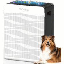 MOOKA Air Purifier: Breathe Pure, Live Better