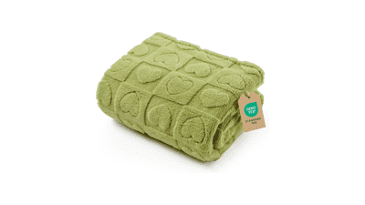 Small Dog Blanket: Soft, Washable, & Fuzzy - 25x35 Green Pet Blanket