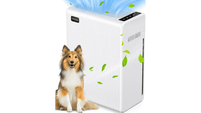 Air Purifier for Large Room with H13 HEPA Filter