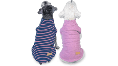Cozy Dog Sweaters 2-Pack for Small Dogs