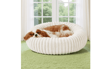 Cozy Donut Dog Bed - Medium, Washable, & Anti-Slip