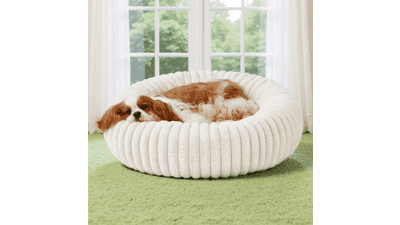 Cozy Donut Dog Bed - Medium, Washable, & Anti-Slip
