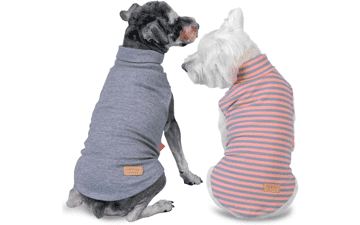 Dachshund Dog Sweater 2-Pack: Warm & Stretchy Small Pet Clothes