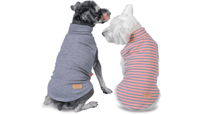 Dachshund Dog Sweater 2-Pack: Warm & Stretchy Small Pet Clothes