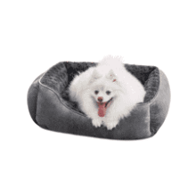 JOEJOY Orthopedic Dog Bed - Washable & Calming